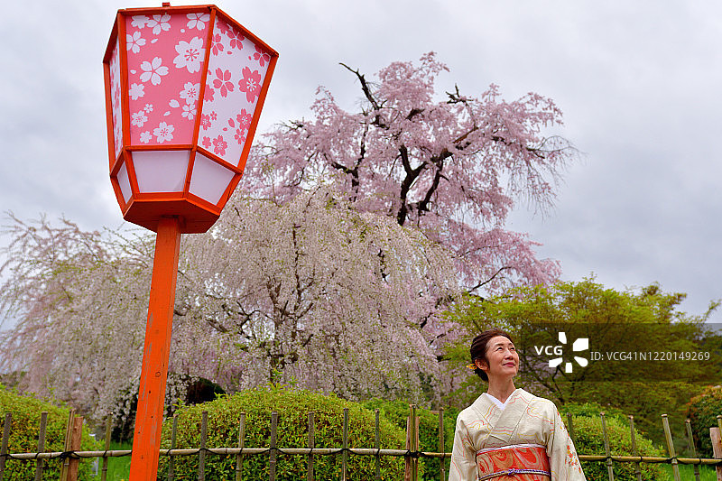 中国京都，圆山公园里穿和服赏樱花的日本女人图片素材