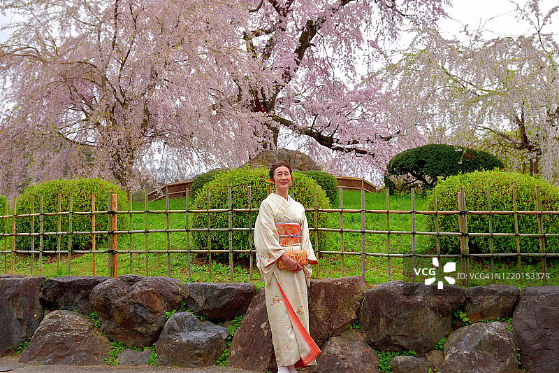 中国京都，圆山公园里穿和服赏樱花的日本女人图片素材