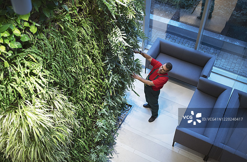 种植垂直花园的成年男人图片素材
