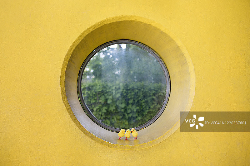 黄色墙壁圆形窗框中的三个小复活节小鸡装饰品图片素材