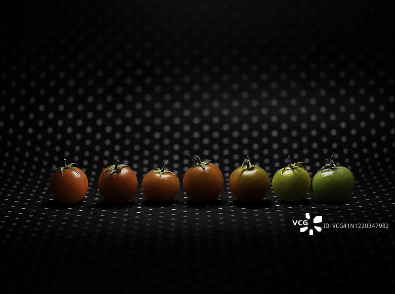 彩色番茄图片素材