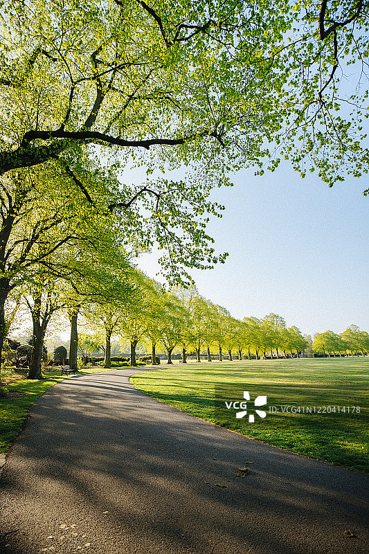 英国公园日出图片素材