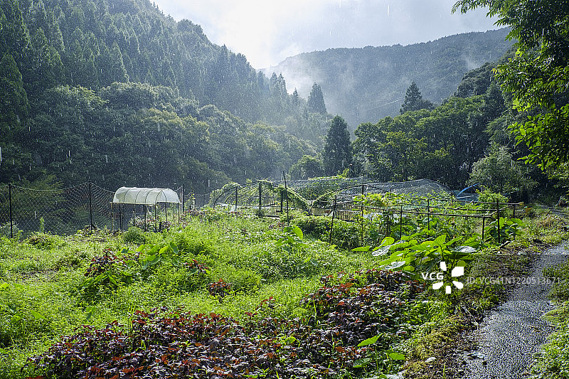 日本高知县四万十市乡村风光图片素材