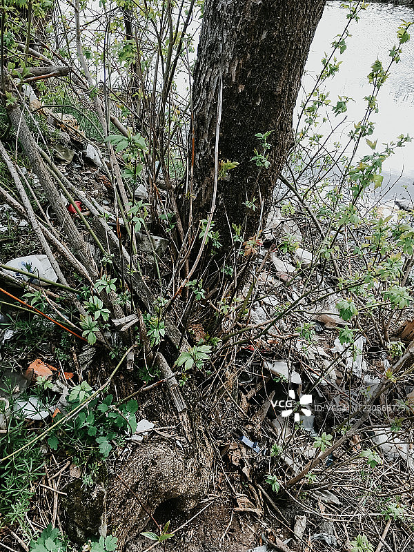 河岸和水中的大量垃圾图片素材