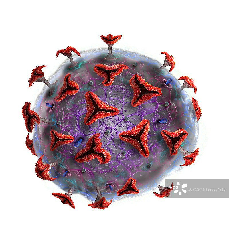 冠状病毒颗粒插图图片素材