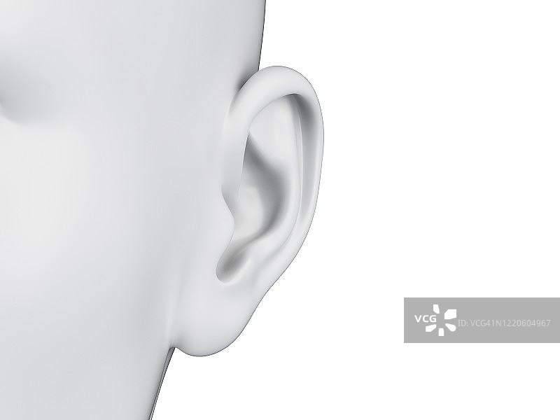 女性耳朵插图图片素材
