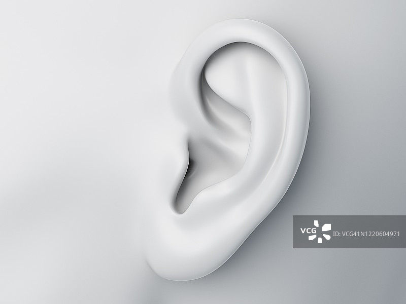 女性耳朵插图图片素材