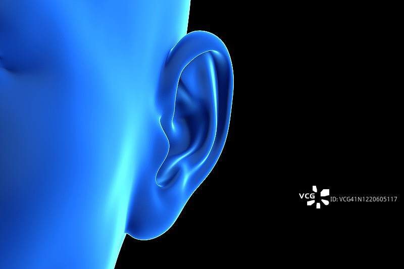 女性耳朵插图图片素材