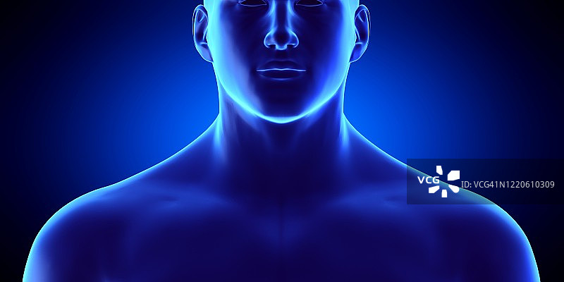 男性喉咙，插图图片素材
