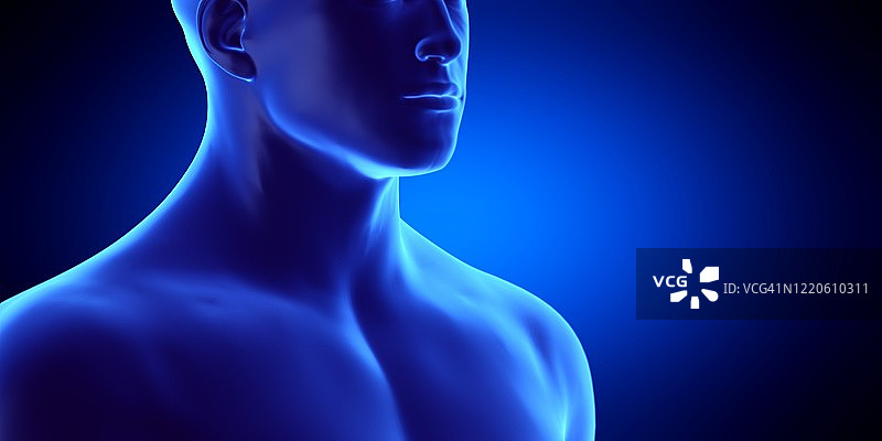 男性喉咙，插图图片素材