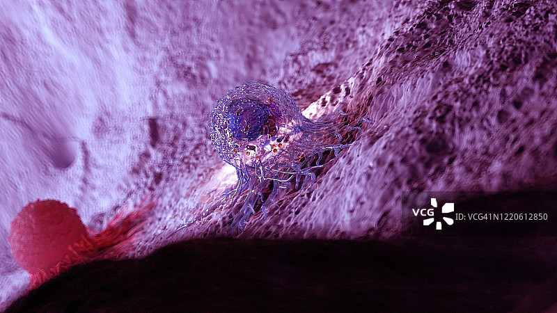 癌症细胞,说明图片素材