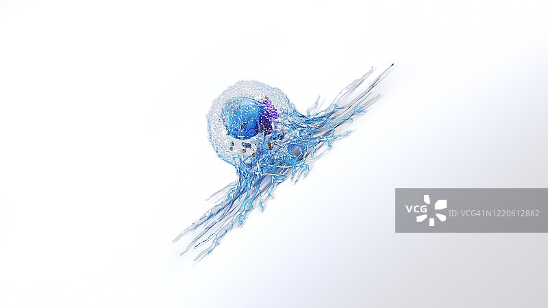 癌症细胞,说明图片素材