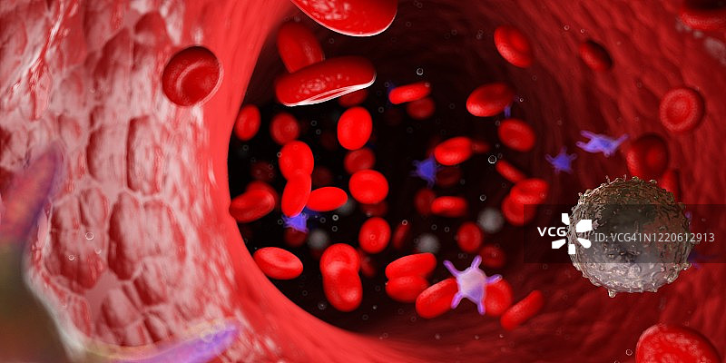人类血液，图示图片素材