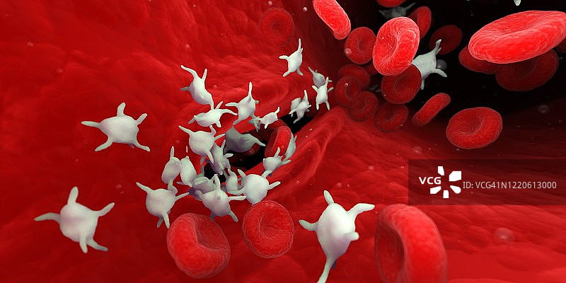 血小板示意图图片素材
