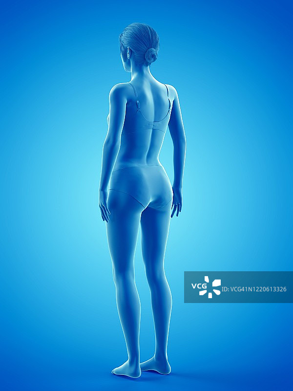 女人，插画图片素材