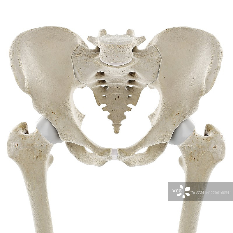 臀部插画图片素材