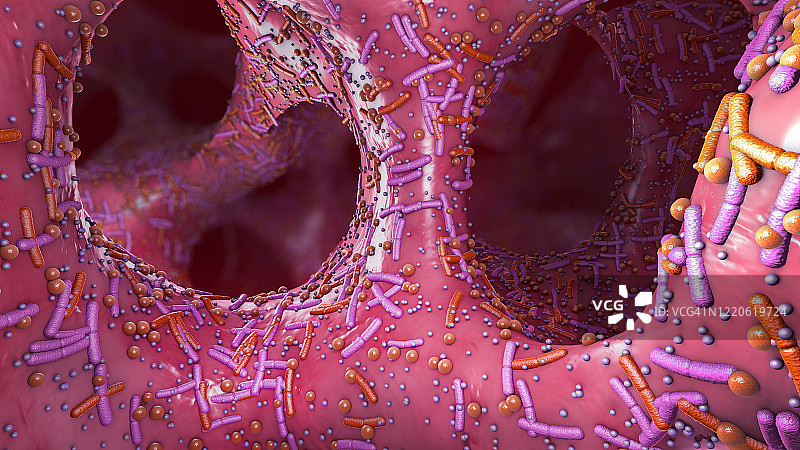 人体消化系统菌群，图示图片素材