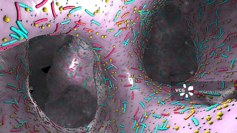 人体消化系统菌群，图示图片素材