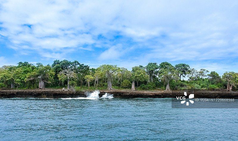 肯尼亚瓦西尼岛：猴面包树人间天堂图片素材