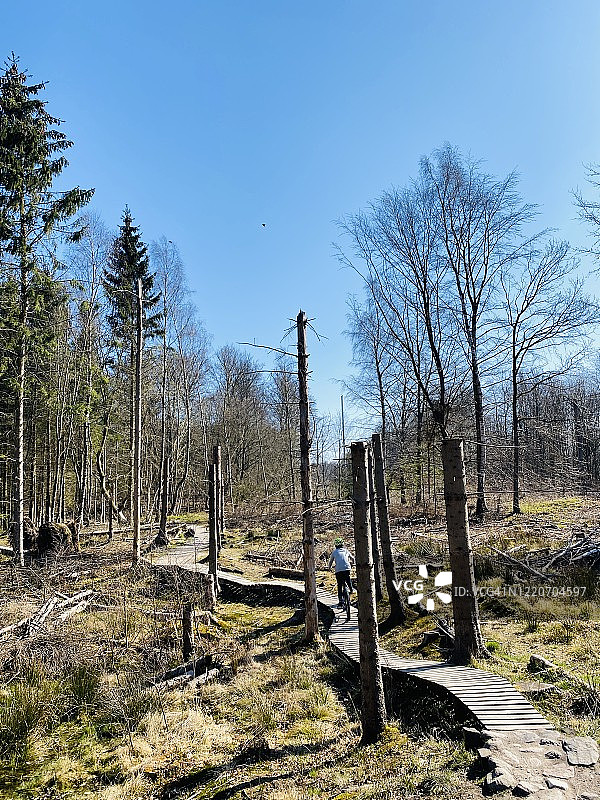 在树林里骑自行车的男孩图片素材