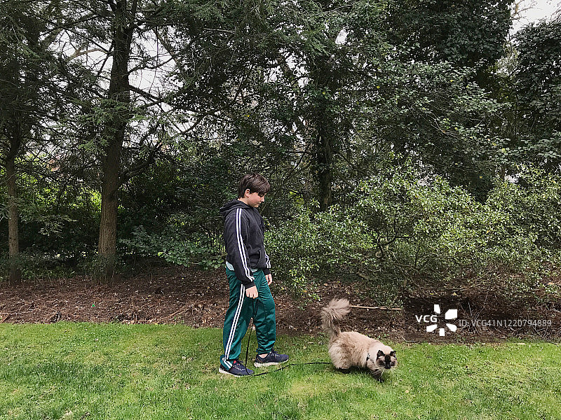 和宠物猫一起散步的男孩图片素材