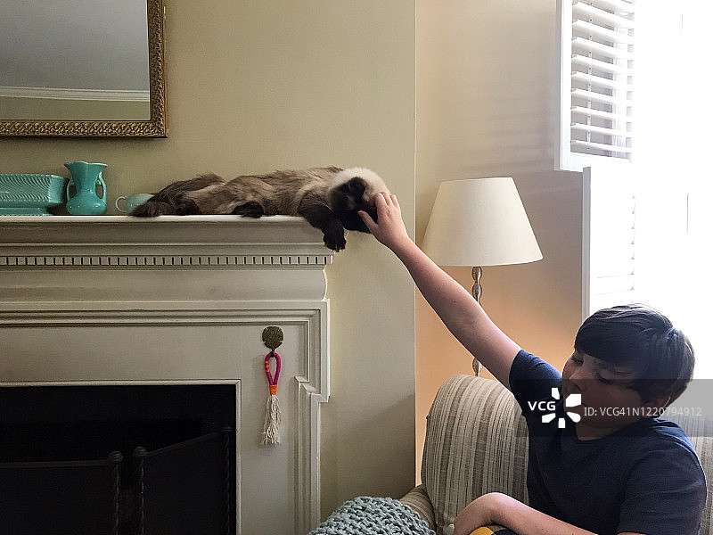 男孩在家和他的猫一起玩图片素材