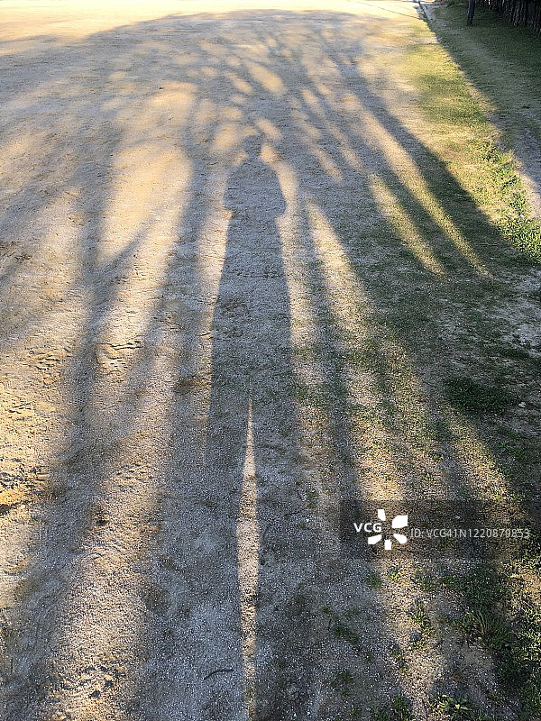 光与影图片素材