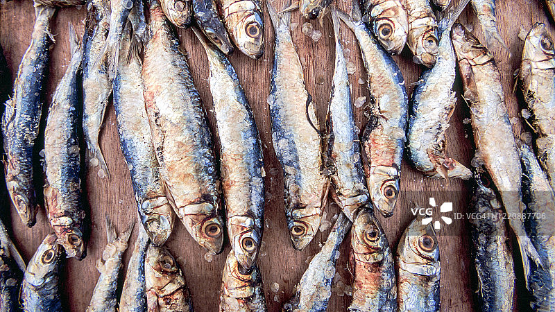 菲律宾东萨马的沙丁鱼图片素材