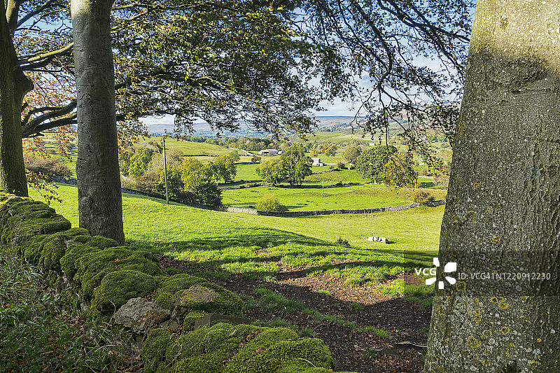 英国约克郡温斯利村附近的文斯利代尔秋色图片素材