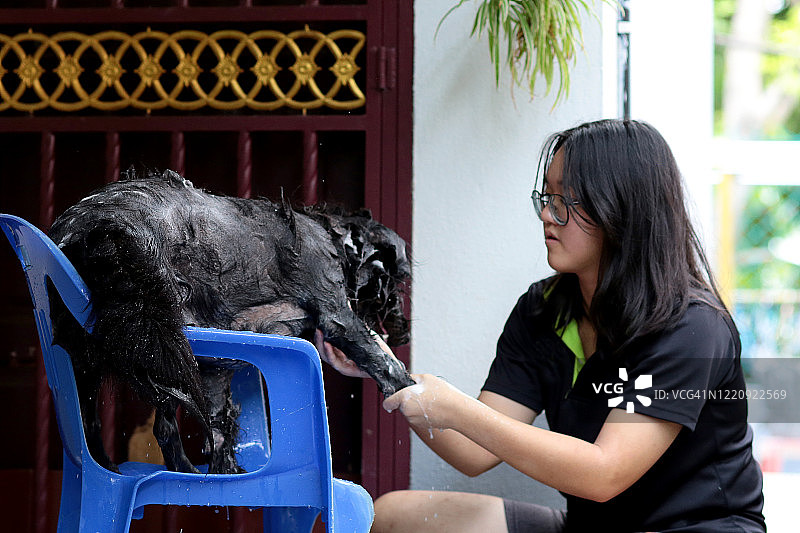 新冠疫情：居家活动图片素材