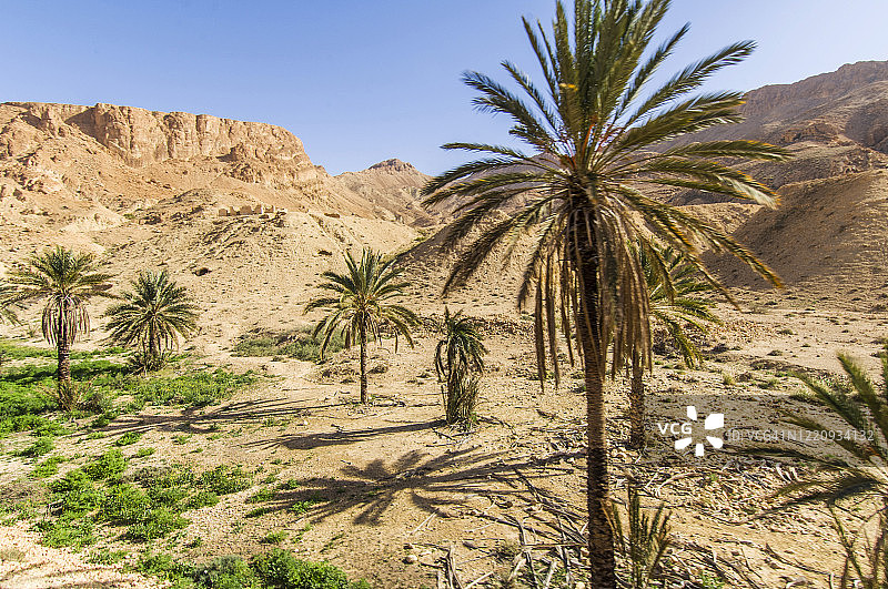 突尼斯梅特拉维附近，红色蜥蜴列车沿线的景观图片素材