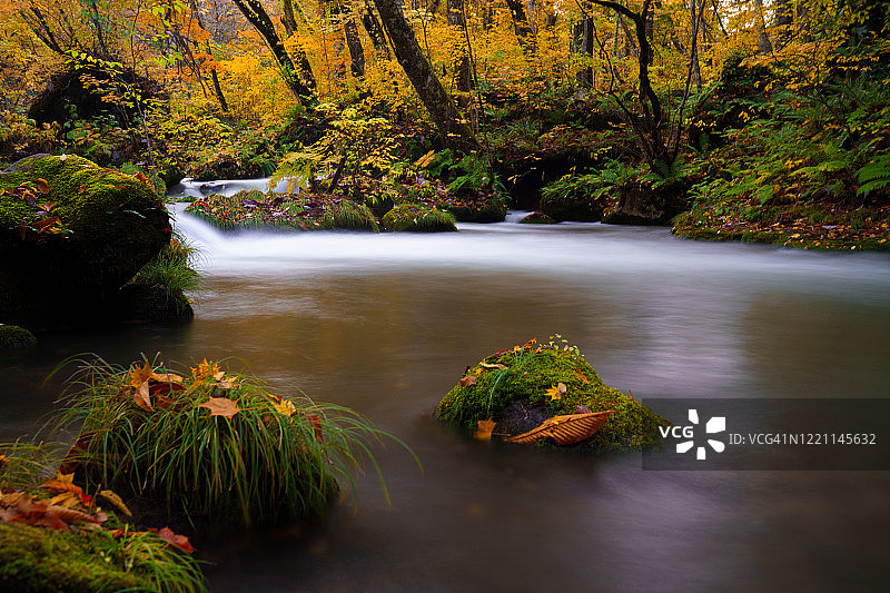 奥入濑美丽秋季山涧图片素材