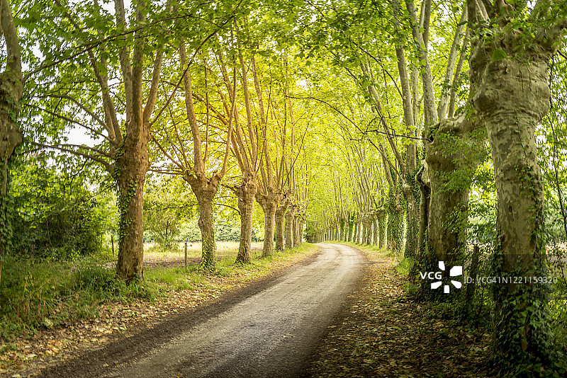 人行道图片素材