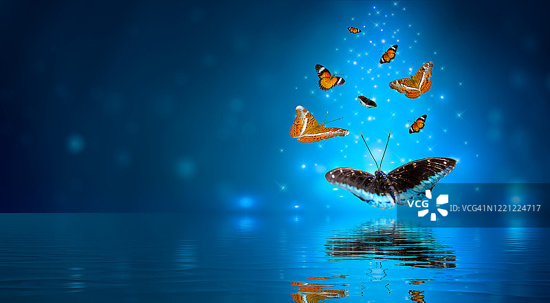 一群蝴蝶在水面飞舞，蓝色背景倒映其中图片素材