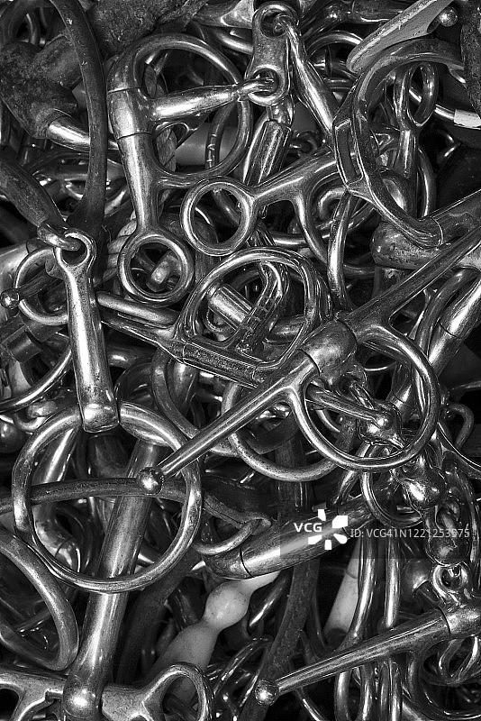 用于骑马的马嚼子图片素材