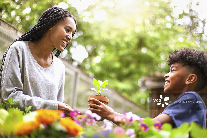 混血孩子在后院正式花园里给母亲送盆栽植物图片素材