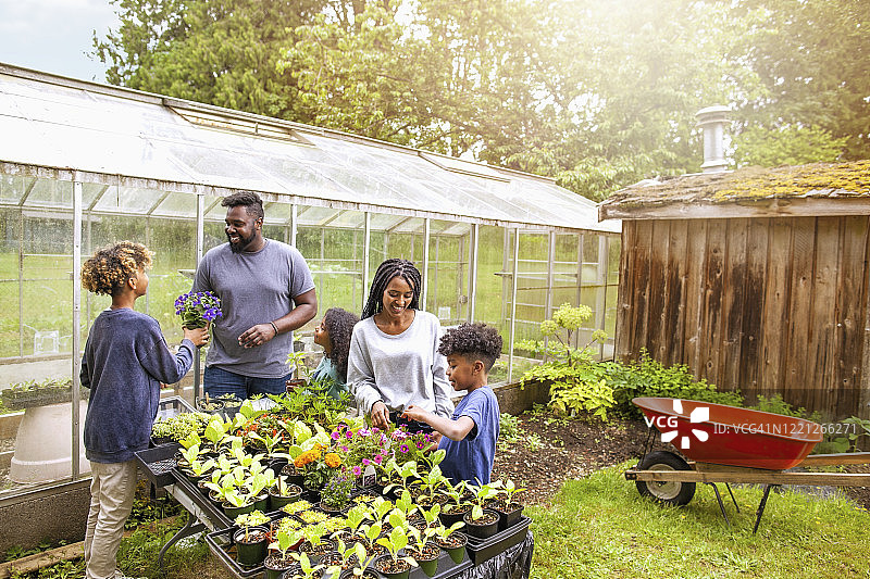 在后院苗圃一起工作的有三个孩子的非裔美国家庭图片素材