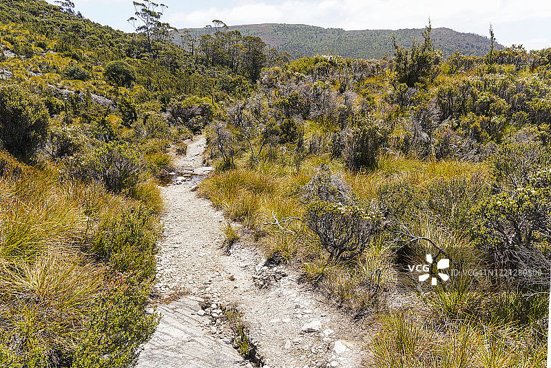 摇篮山陆路徒步道图片素材
