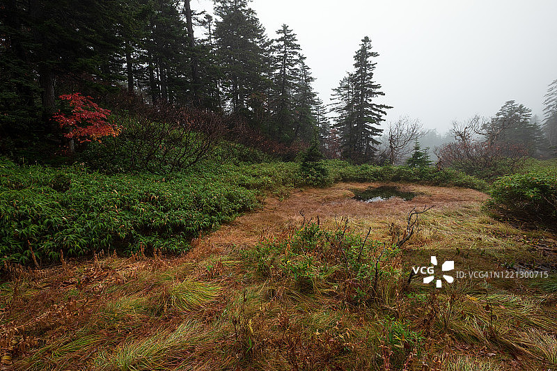 最后的红色图片素材