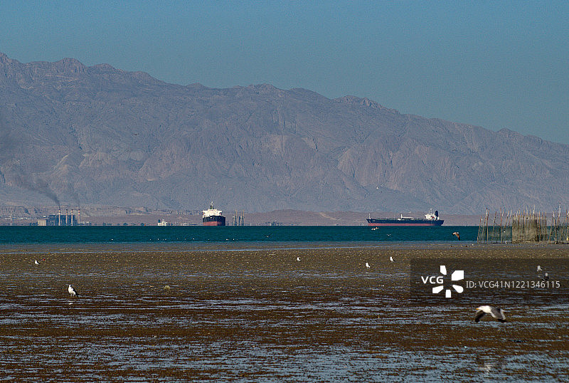 伊朗波斯湾沙希德·拉贾伊港的大型货轮和油轮图片素材
