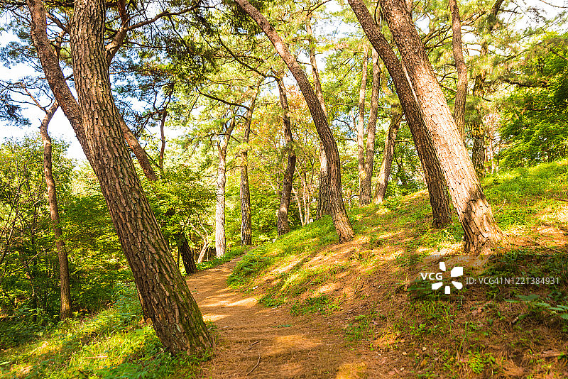 韩国扶余市扶苏山城景观图片素材