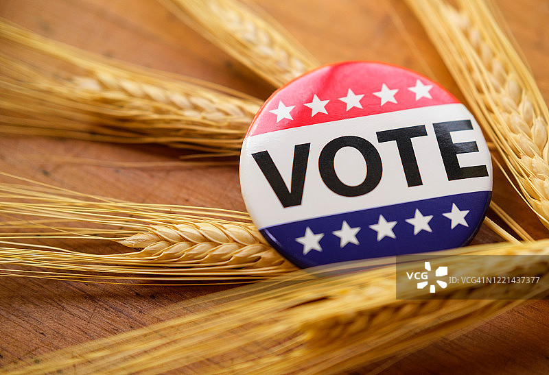 小麦上的投票按钮图片素材