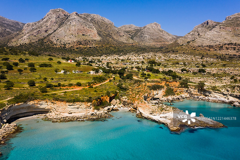 阿吉奥斯·尼古拉斯沿海地区的石化棕榈树林图片素材