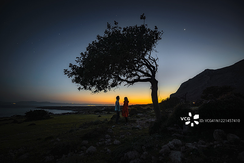 在树下牵手图片素材