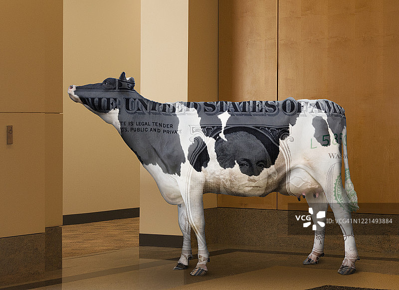 商业摇钱树图片素材