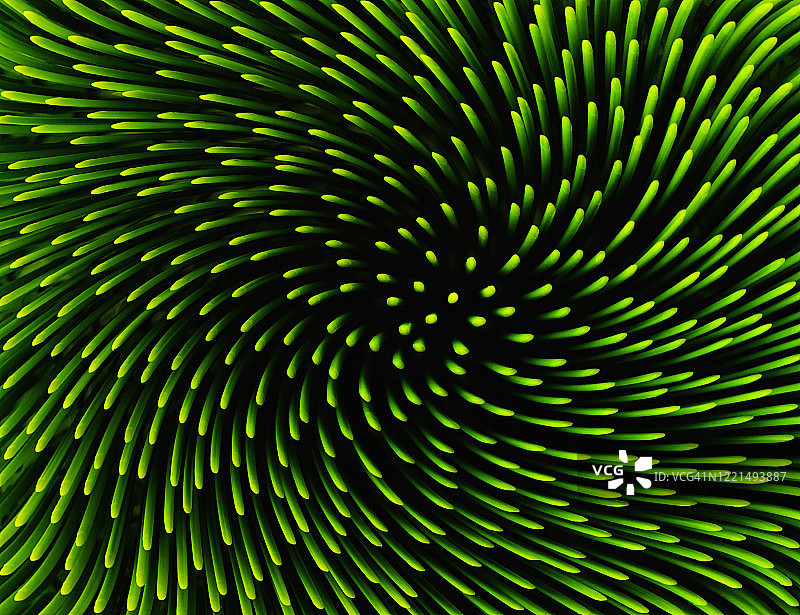 绿色运动图案图片素材