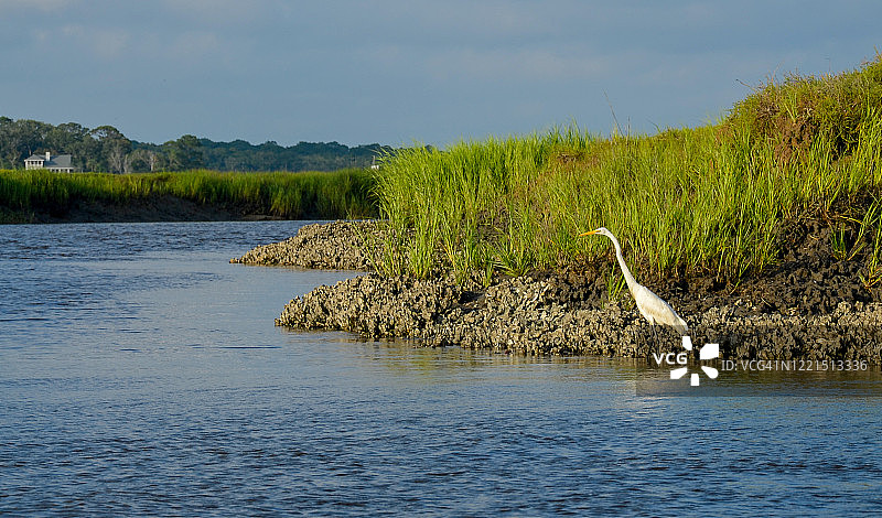 埃迪斯托盐沼图片素材