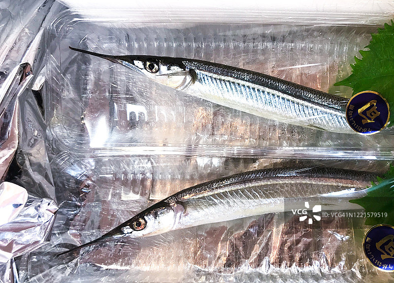 日本鱵鱼，时令海鲜图片素材