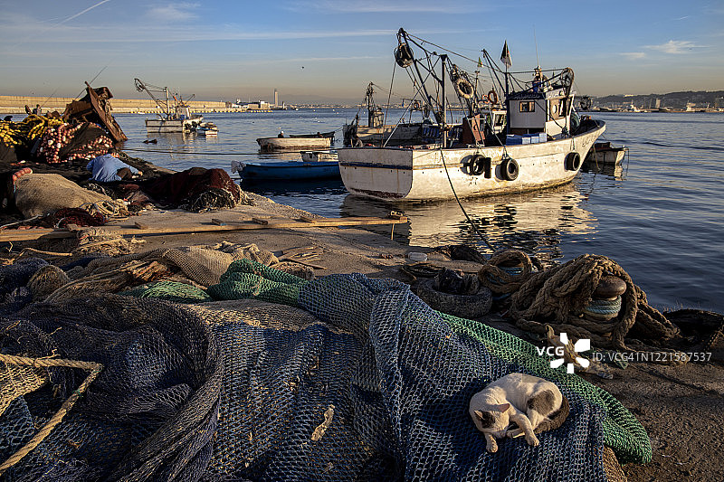 阿尔及尔港口图片素材