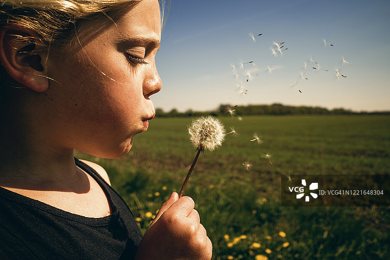 女孩吹蒲公英种子图片素材